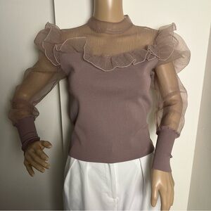 Zara ruffle top puff sleeves 
Elegant Mauve Ruffle Sheer Top